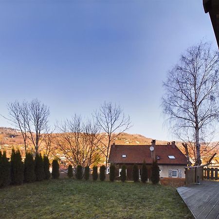 Le Chalet Du Pere Michel, Jacuzzi, Sauna, Jardin La Bresse Kültér fotó
