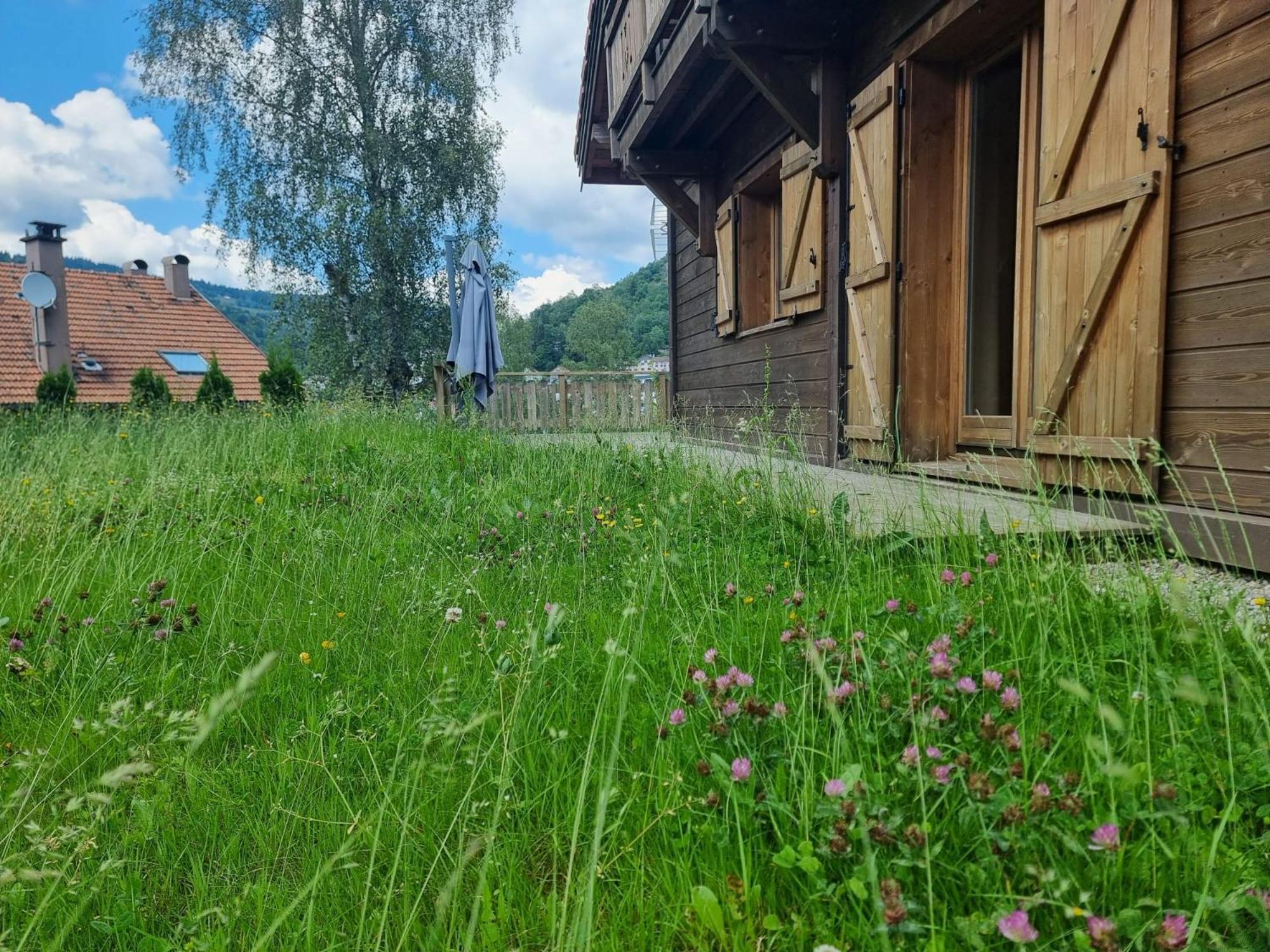 Le Chalet Du Pere Michel, Jacuzzi, Sauna, Jardin La Bresse Kültér fotó